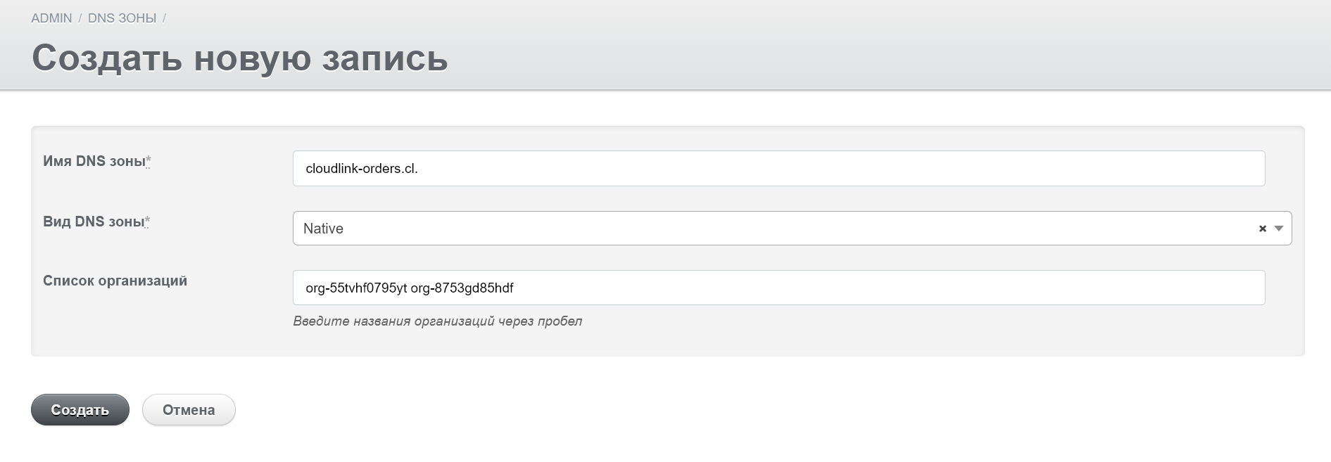 dns admin new record
