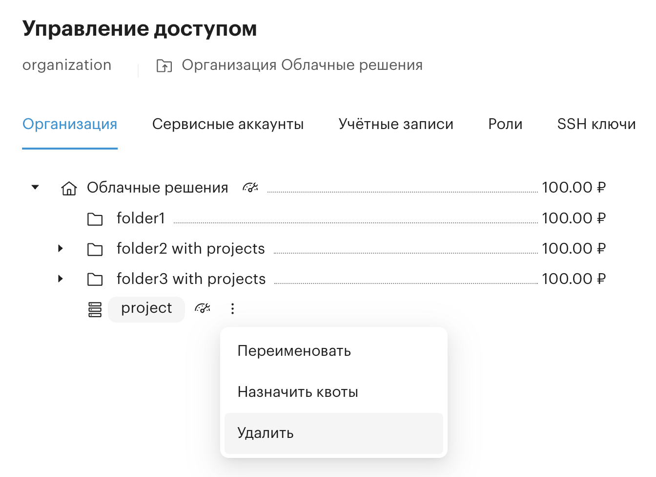access control organization delete folder project