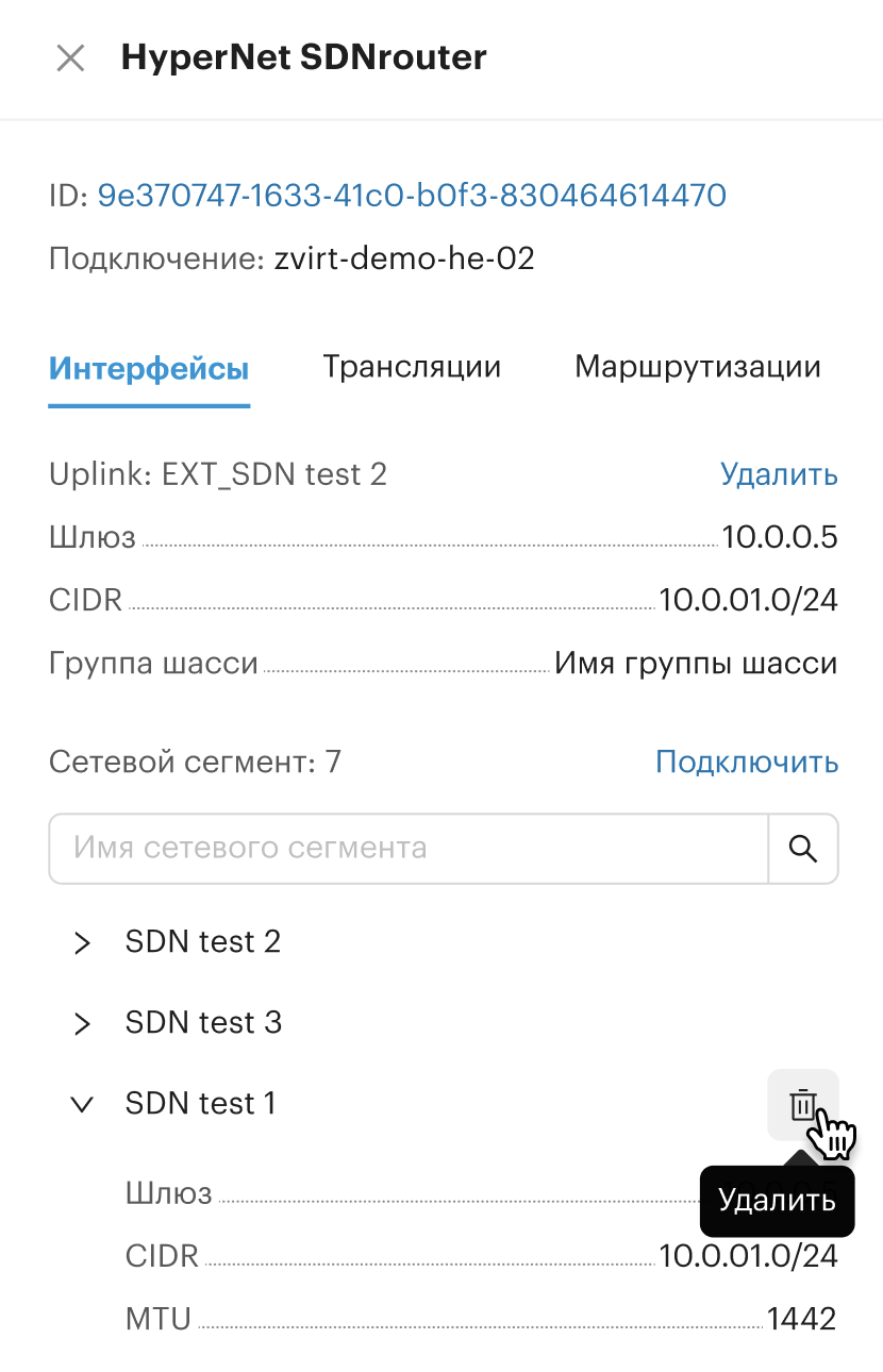 sdn routers delete interface sdn