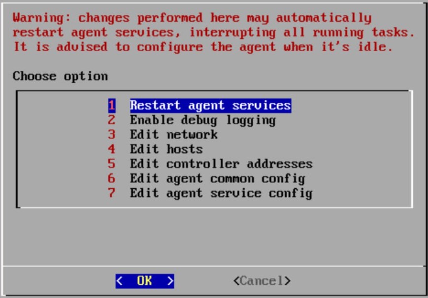 s  change agent