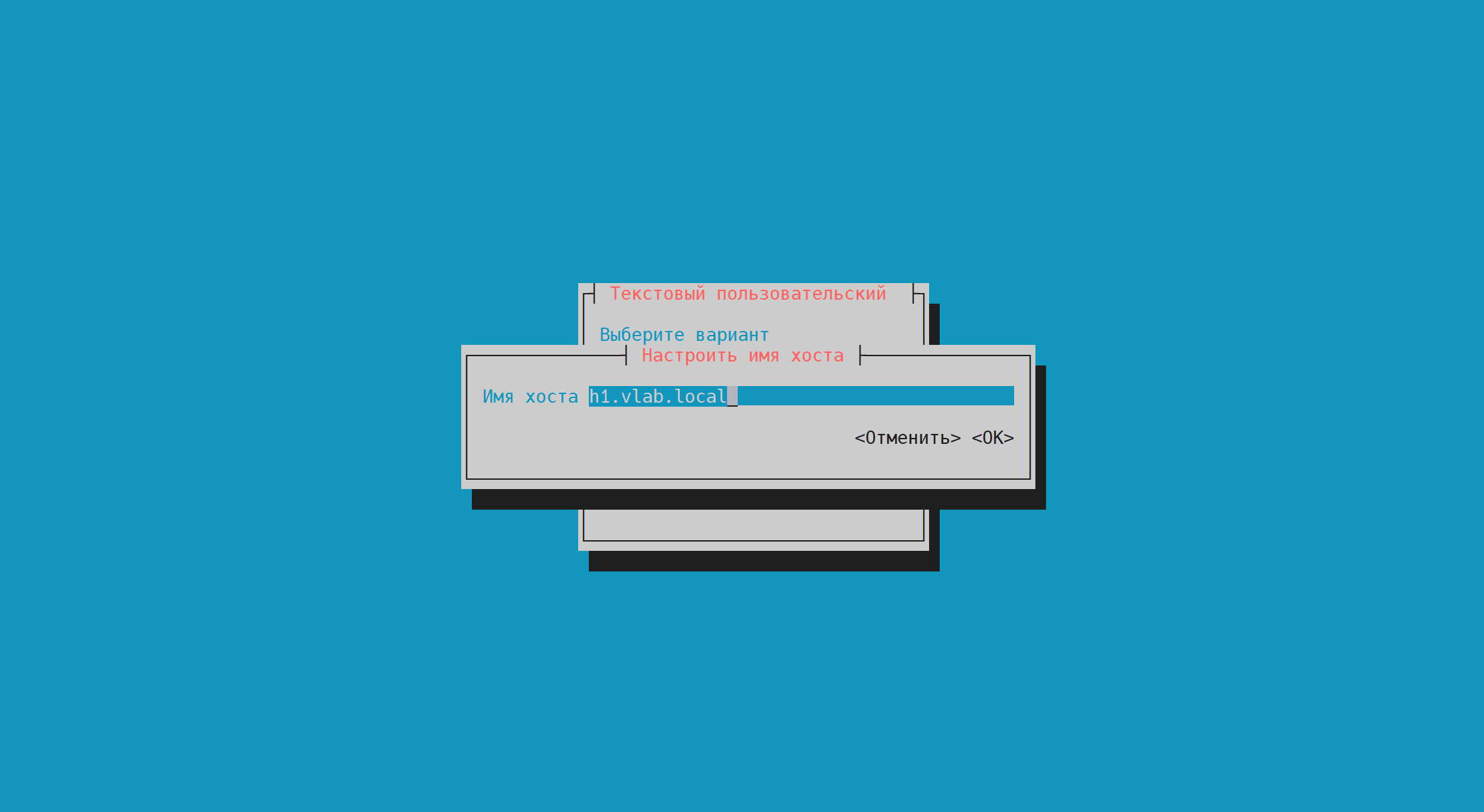 ip config set hostname