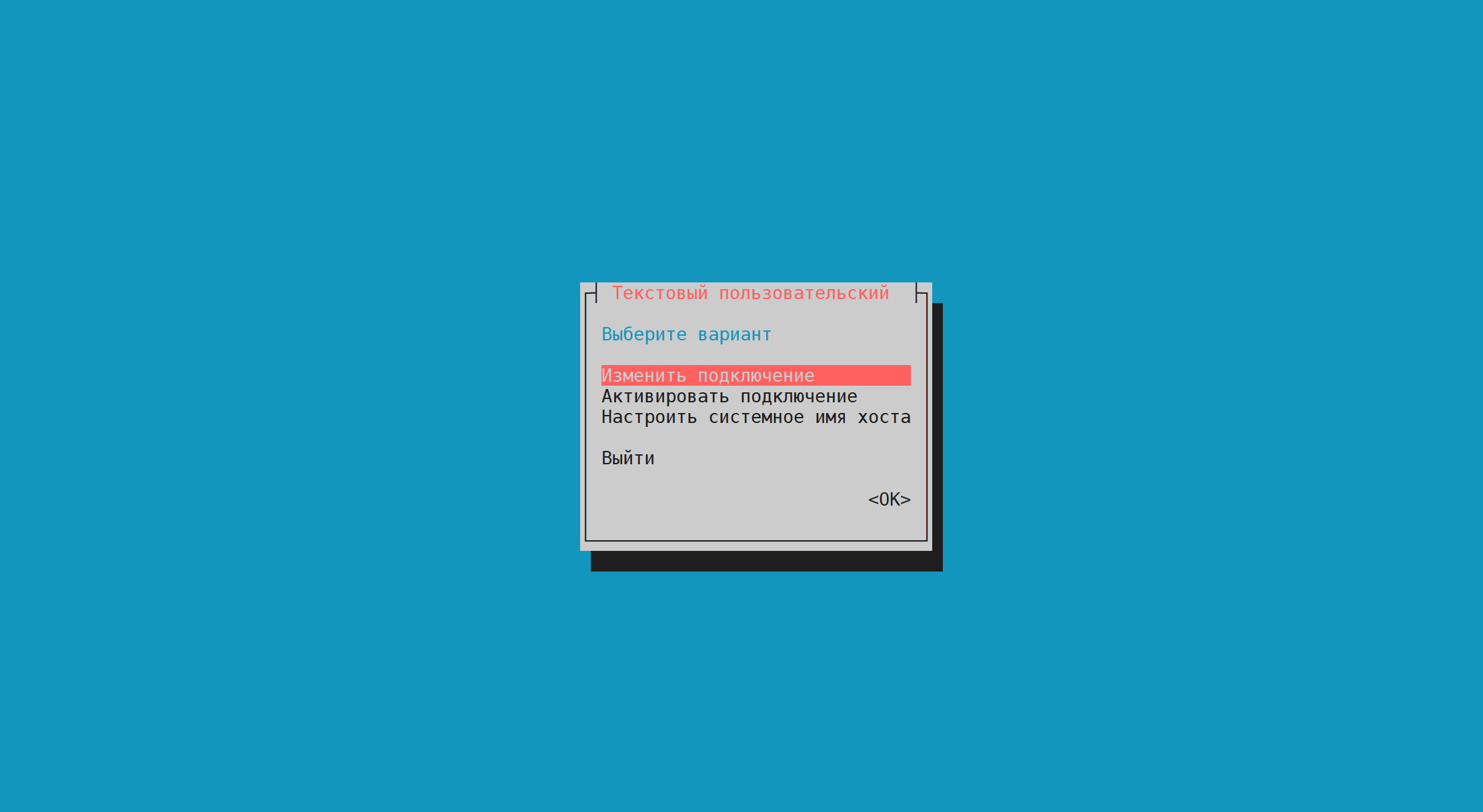 ip config tui
